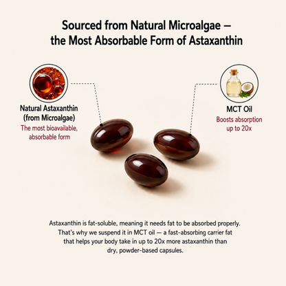 Provanta Labs Astaxanthin 12mg Softgels